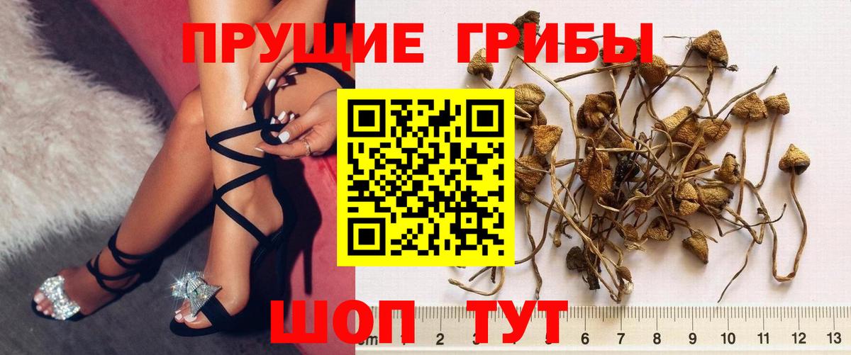 Псилоцибиновые грибы мухоморы  купить закладку  Вход с VPN  Пугачёв  Галлюциногенные грибы Psilocybine cubensis 
